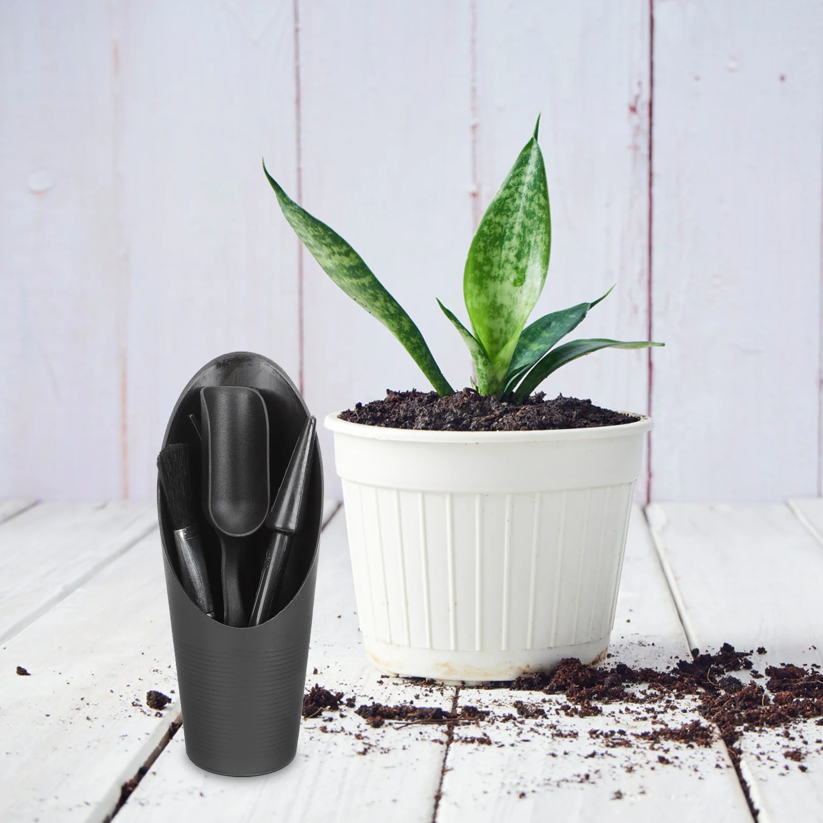 

2Sets Premium Succulent Tools Set Rustproof Garden Hand Tools for Potted Plants Window Boxes Transplanting Supplies