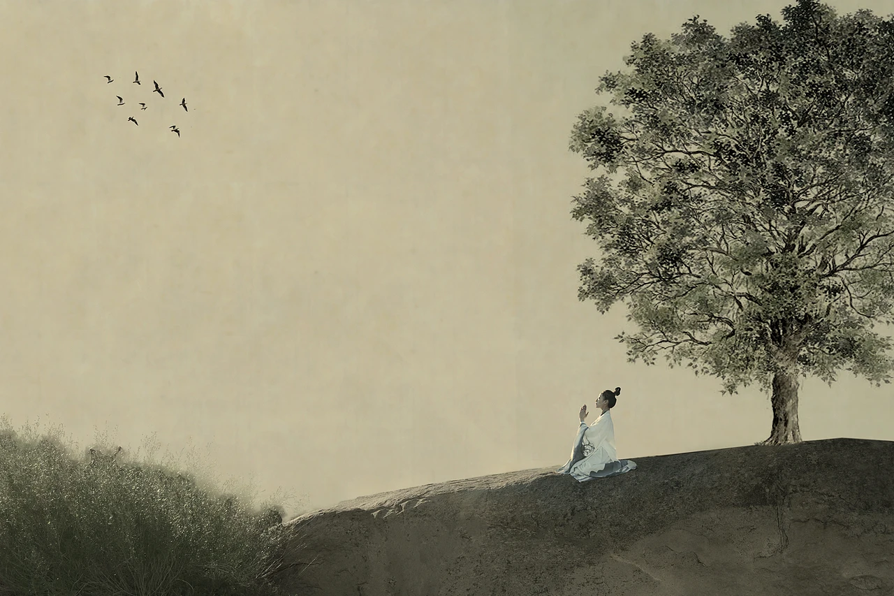 

For HG P407 accessory kit