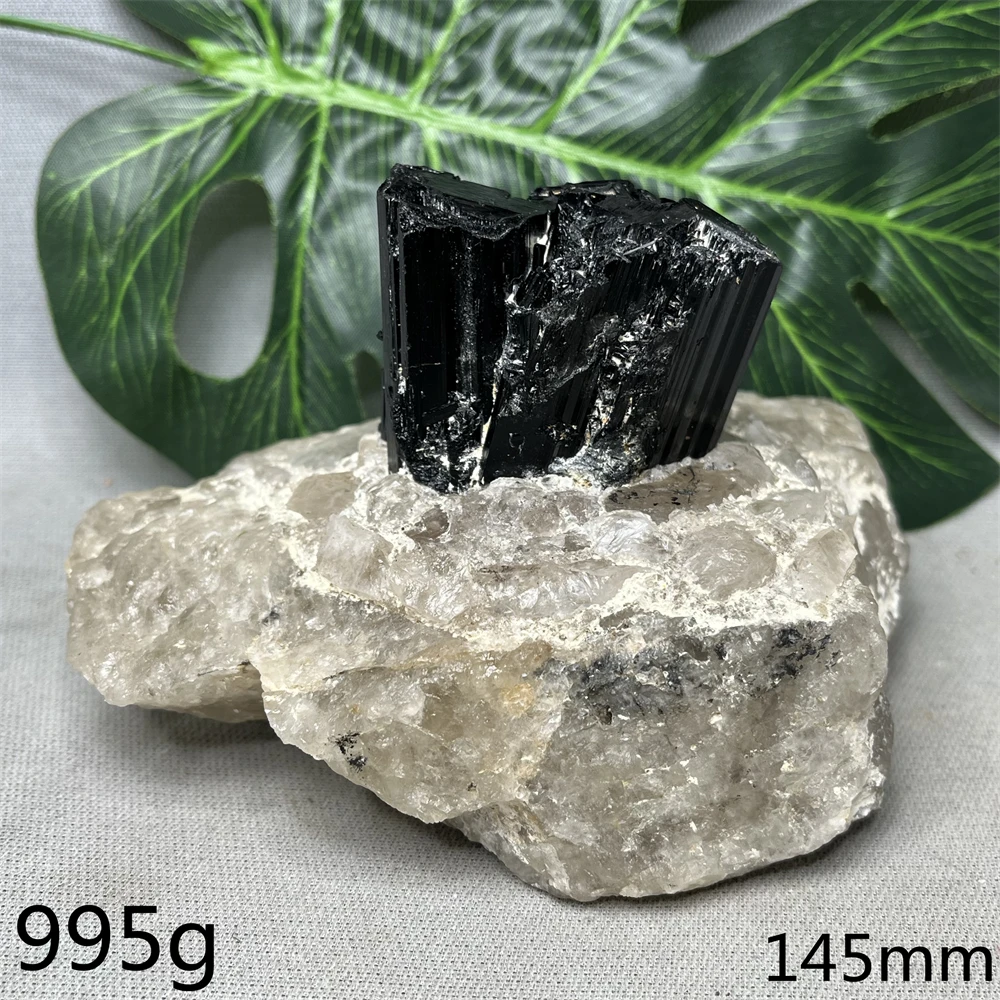 

Brazilian Black Tourmaline Quartz Mineral Crystal Specimen Home Room Decoration Collection Feng Shui Spiritual Stone Healing