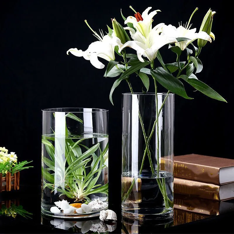 Cylinder Flower Vase Transparent Glass Vase Hydroponic Plant Vase Nordic Flower Vase Home Living Room Table Decoration Gift