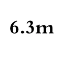 6.3