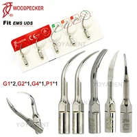 Puntas de pájaro carpintero originales, punta de escalado ultrasónico Dental compatible con escalador EMS UDS, pieza de mano G1 G2 G4 P1, herramientas de odontología