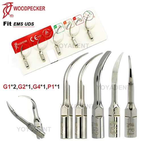 Puntas de pájaro carpintero originales, punta de escalado ultrasónico Dental compatible con escalador EMS UDS, pieza de mano G1 G2 G4 P1, herramientas de odontología