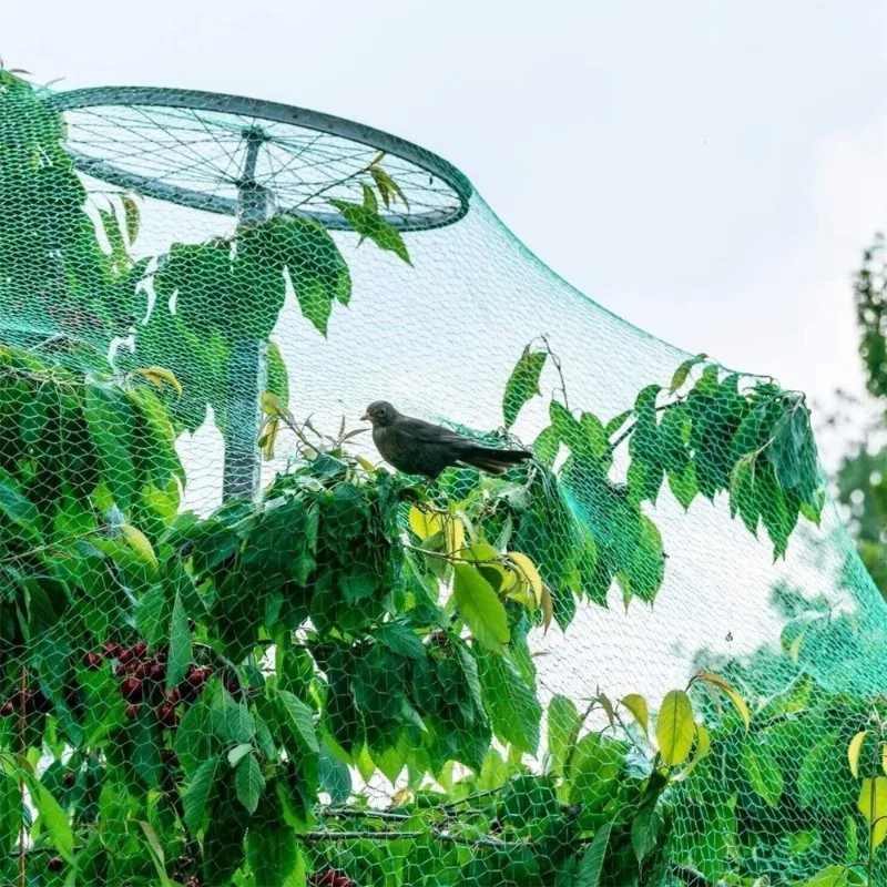 A03F-Bird Netting For Fruits And Vegetables, Insect Netting, For Grapes, Protection For Greenhouse Horticulture