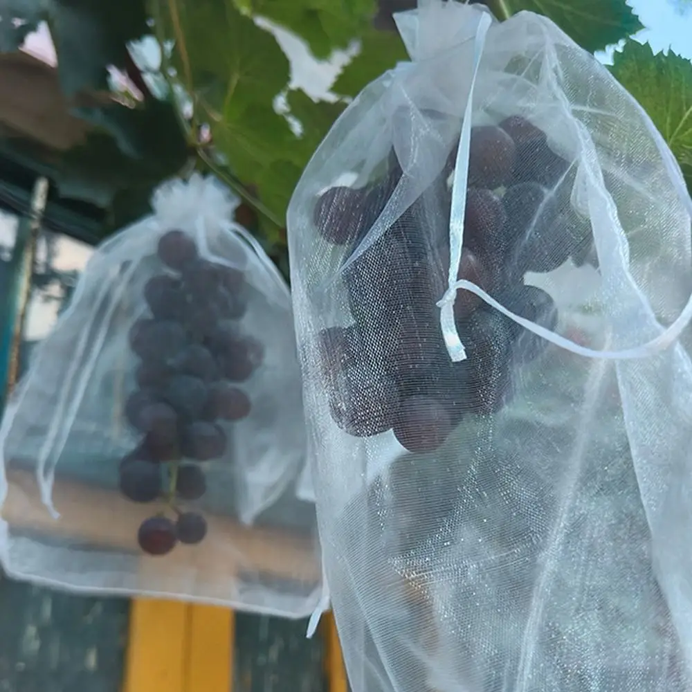 ถุงปลูกผลไม้ตาข่าย 100 ชิ้น สีขาว ระบายอากาศได้ดี สำหรับปลูกองุ่นและผลไม้อื่นๆ ป้องกันศัตรูพืชและนก