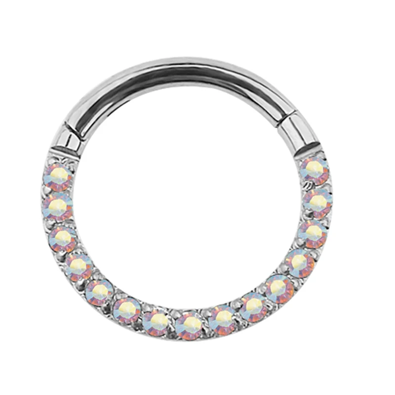 G23 Titanium Hinged Segment Hoop Nose Ring Earring