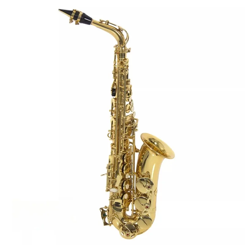 

Saxophone Eb Alto New Professional Gold Saxophone Sax Saxophone with Accessories