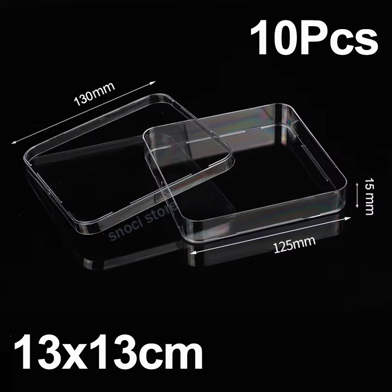 Quadratische Petrischale 13 mm x 13 mm Petrischale, Kunststoff-Petrischalen mit Deckel, Kulturschale für Laboranalyse, 10 Stück
