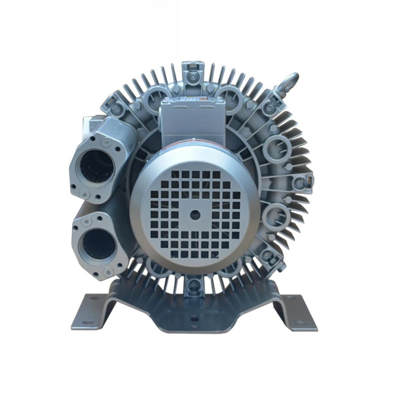 Air ring vacuum pump, air ring compressor, vortex air pump