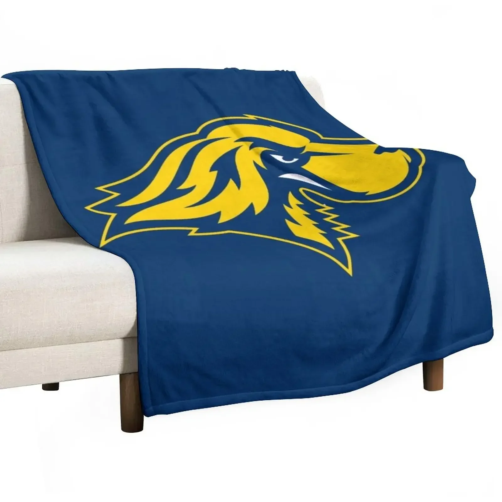 

Pace University Throw Blanket Heavy For Sofa Thin Blankets