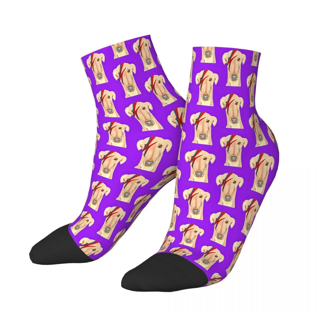 Ziggy Stardog Purple Geryhound Greyhounds Dog Ankle Socks Male Mens Women Autumn Stockings Harajuku