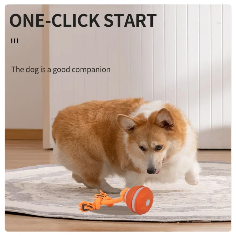 Thumbnail 4 - #43 Best Dog Balls to Buy In 2026