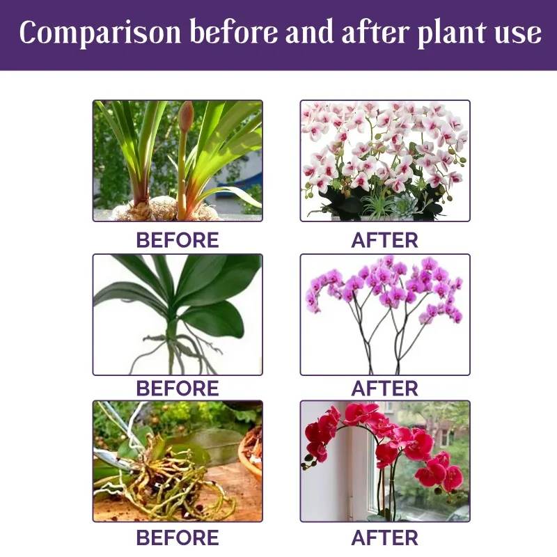 Orchid Special Liquid Fertilizer 50ml Hydroponic Plant Nutrition Compound Growth Supplement for Garden Flower Daily Care