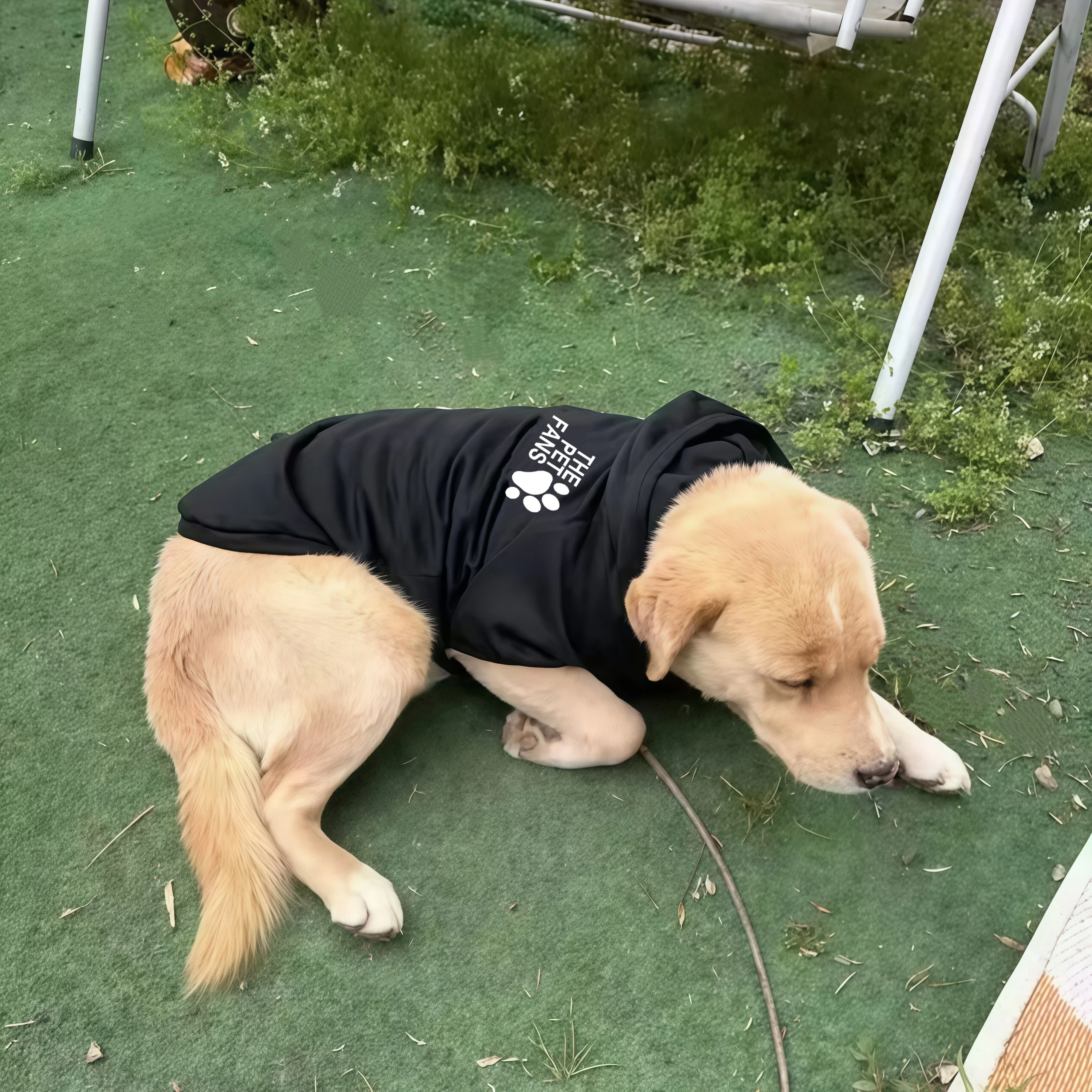 شتاء جديد ملابس الحيوانات الأليفة الكلب الخريف وملابس الكلب موضة معطف رياضي في الهواء الطلق الكلب هوديي الشعر الذهبي لابرادور الكلب الملابس