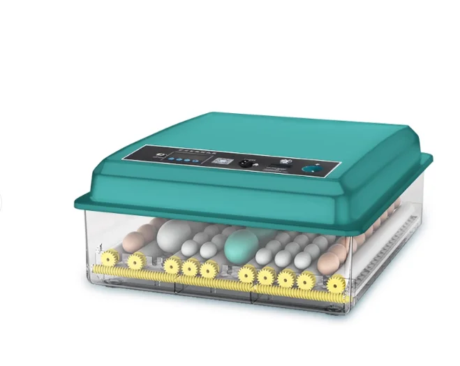 

Fully Automatic Dual Power Large Intelligent Home Medium Incubator for Hatching Eggs, Small Hatching Box for Breeding.