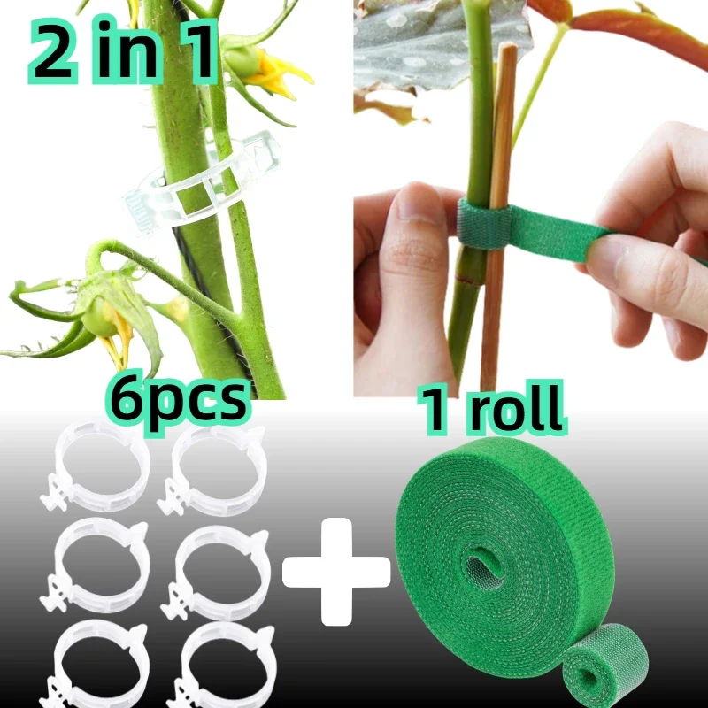 6pcs and 1roll Seedlings Fixing Clips Quick-open Plant Support Clips Clear Vine Fixing Buckles for Grafting Tying Vines Plant