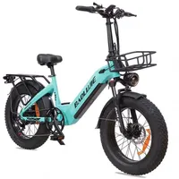 BAOLUJIE DP2003 electric bicycle 750W48V12AH Removable Lithium Battery 20*4.0 fat tire Snow city Commuter electric bike
