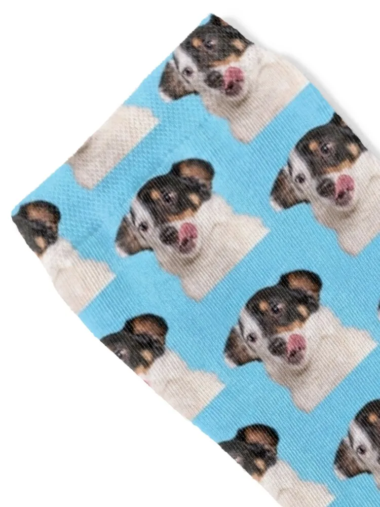 Sadsac Designs - For the love of a Jack Russell Terrier Socks sports stockings funny sock Men Socks Luxury Brand Women's