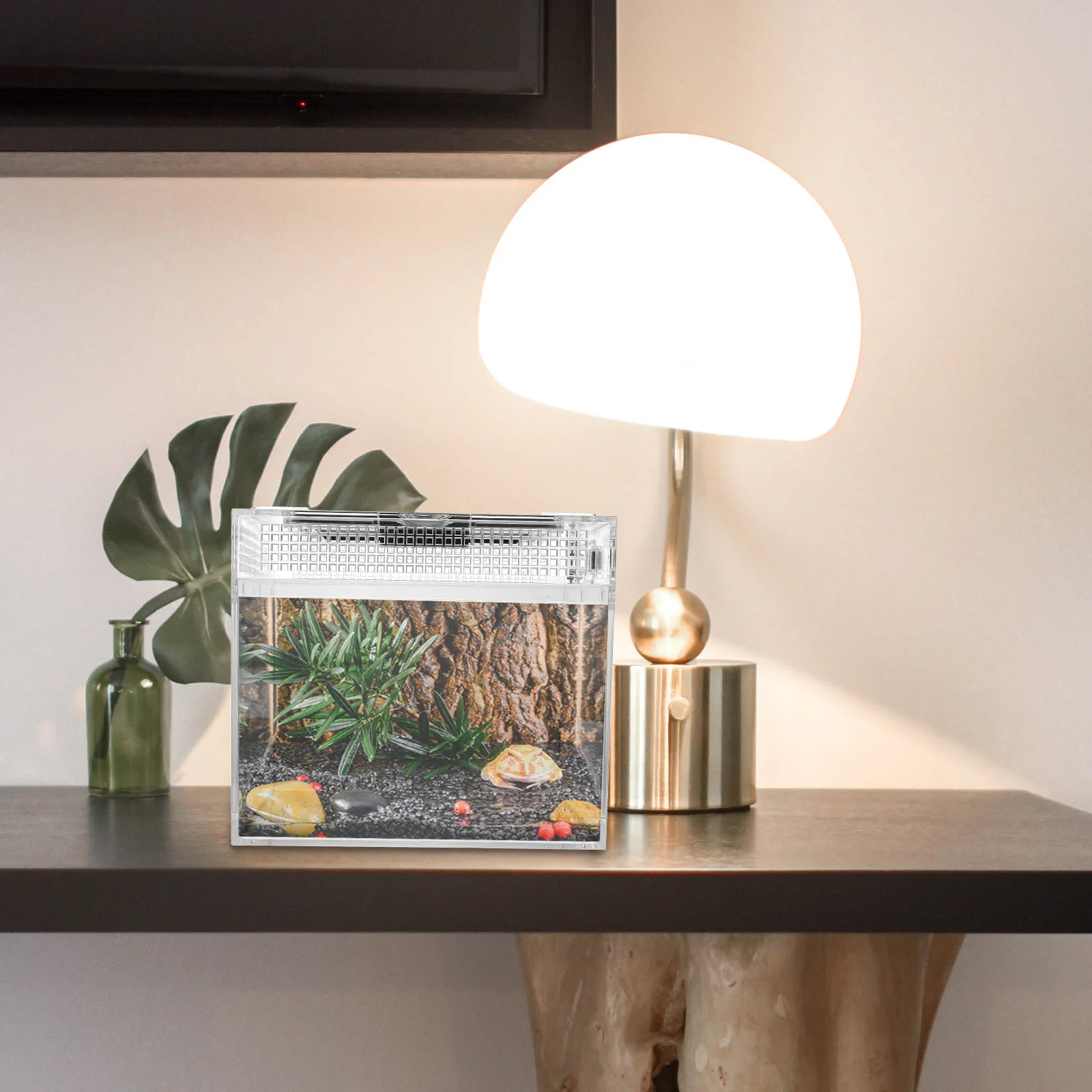 

1Pcs Reptile Feeding Box Medium Size Transparent Pc Material Ventilated Breeding Container for Lizards Snakes Spiders