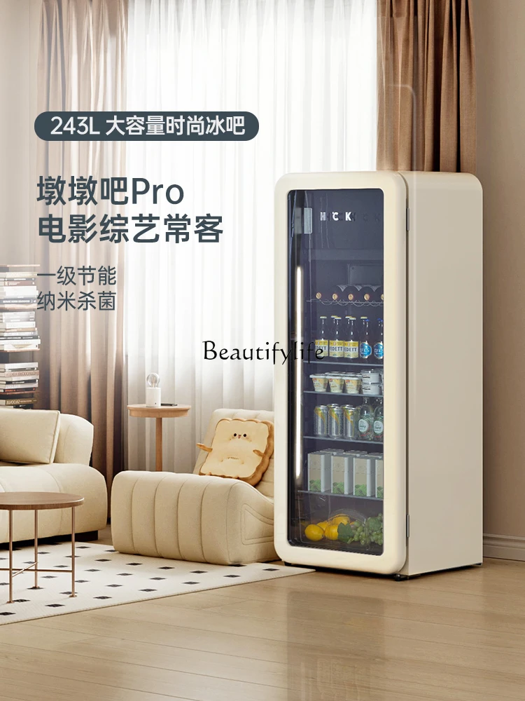 Frozen Refrigerated Cabinet Home Living Room Small Refrigerator Retro Office