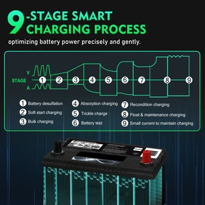 12 최고의 판매 골프 카트 충전기 -112