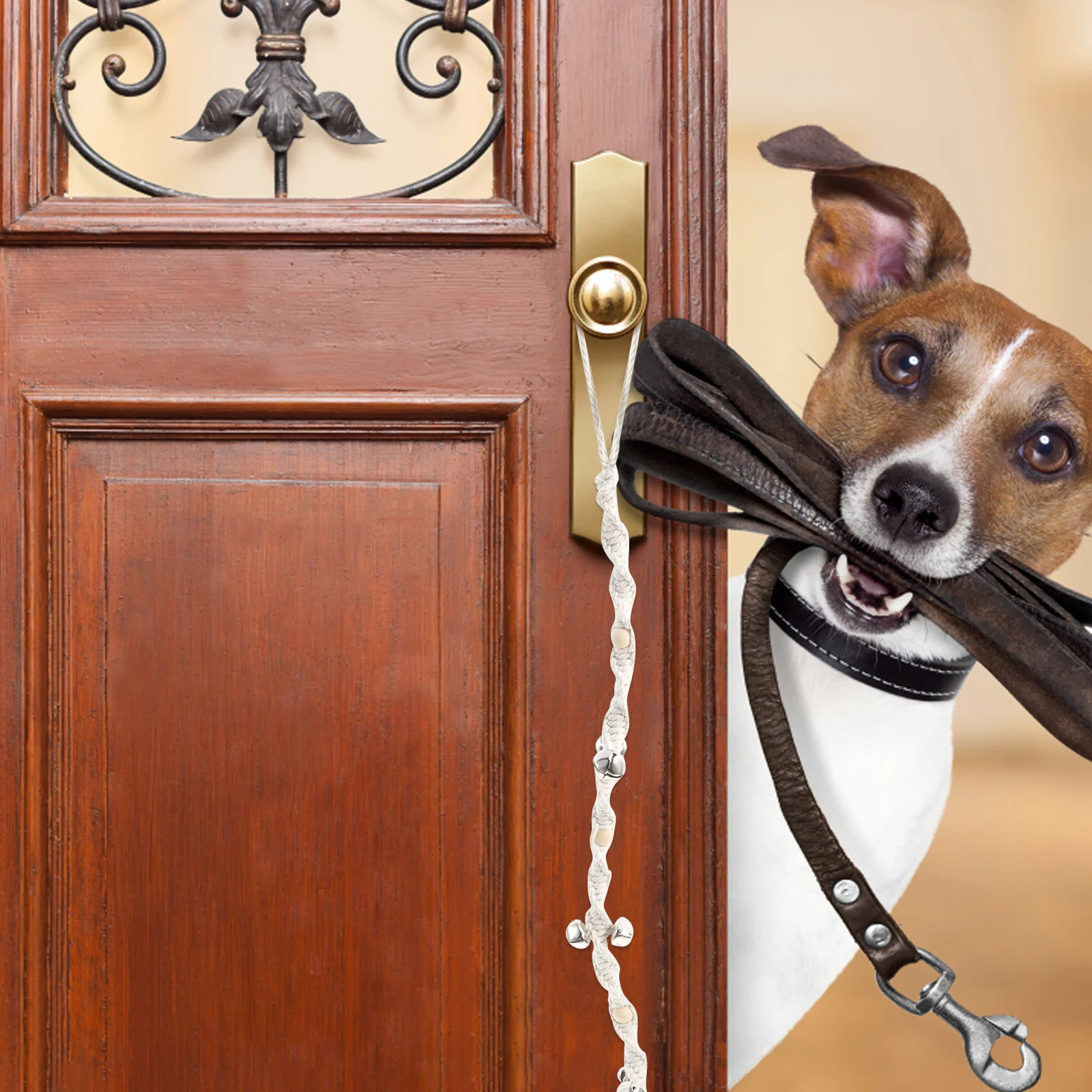 

Pet Dog Bell Training Woven Door Hanging Bell Loud Clear Sound Wear-Resistant Portable Household Dog Doorbell Decorative