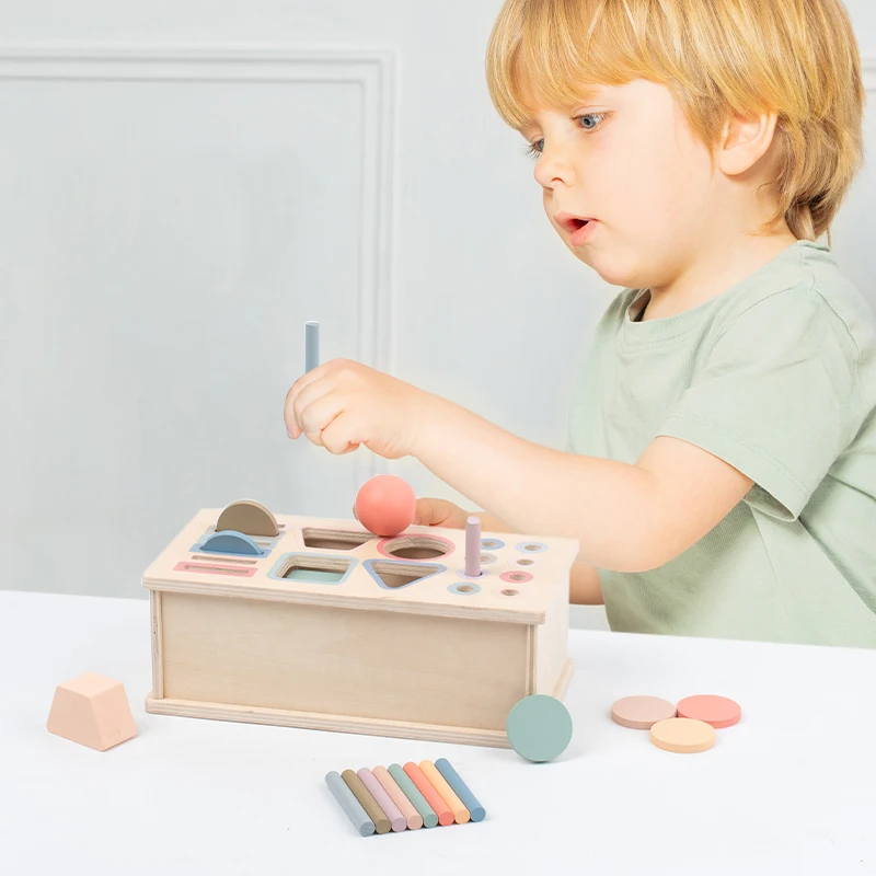 Houten Kinderen Speelgoed Montessori Kleur en Vorm Match Box Sets Munten Bal Box Vroeg Educatief Speelgoed voor Kinderen Hand-oog Coördinatie