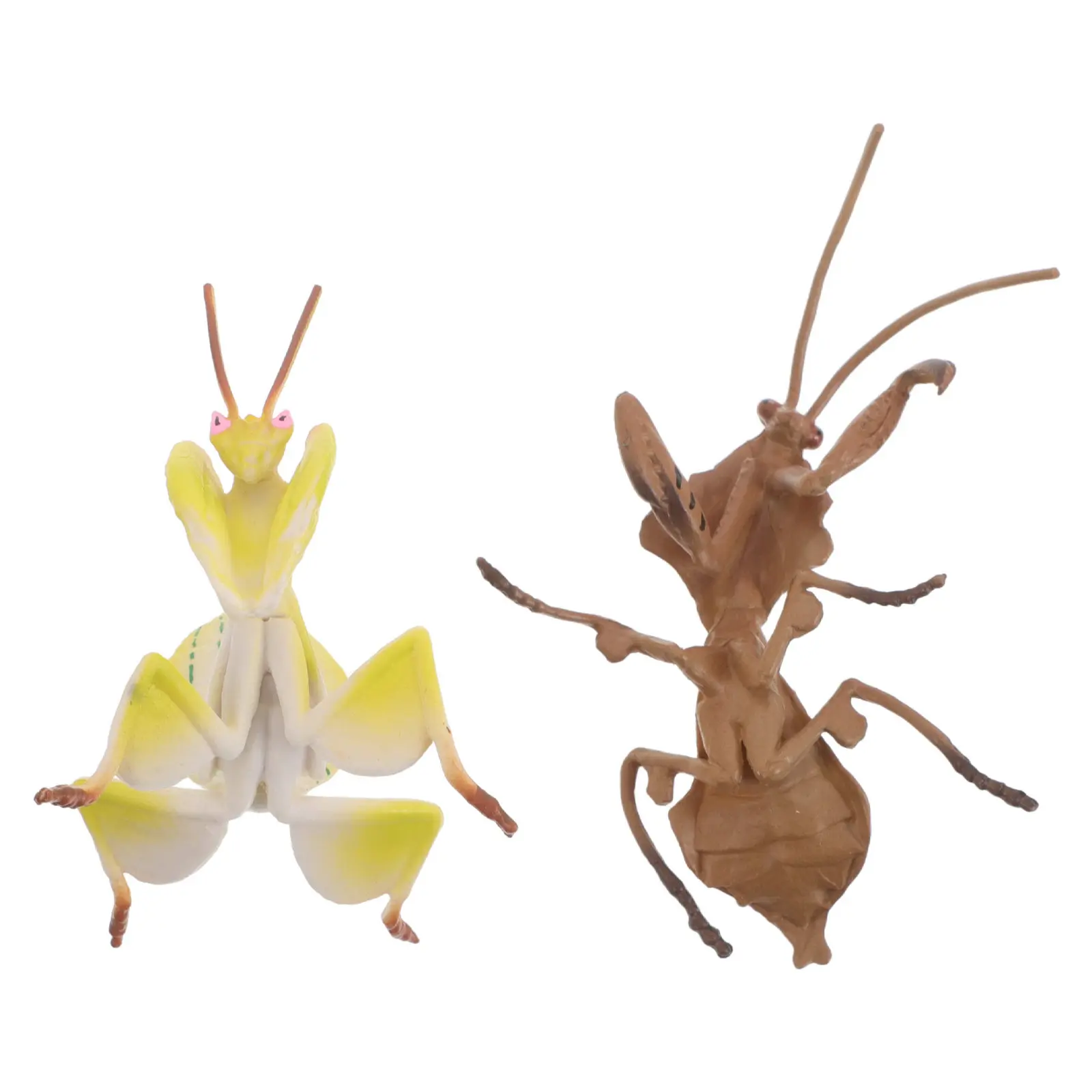 2Pcs Realistic Insect Mantis Simulation Sculpture Nature Exploration Garden Decor Insect Observation Specimen Educational Use