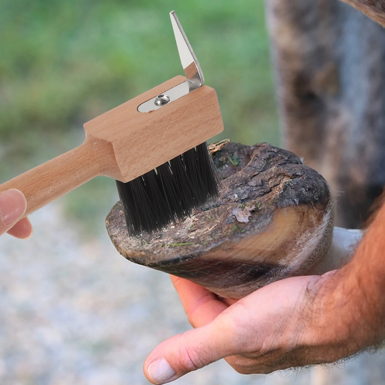 فرشاة حافر الحصان قسط المعادن الماشية الأغنام الجمل المتقلب المحمولة القدم أداة العناية بالأظافر لإمدادات الفروسية قادين حافر الحصان #2