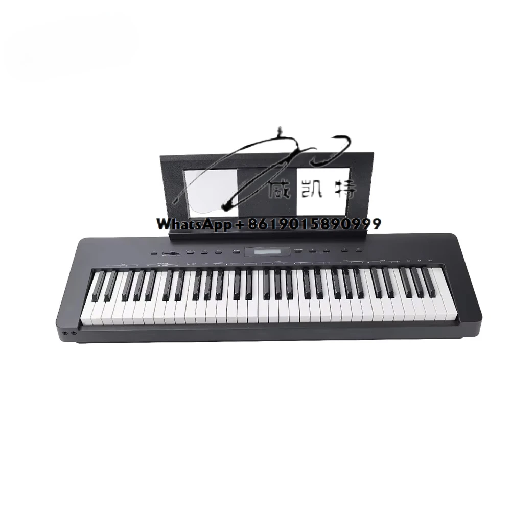 

61-key Standard Electric Piano Heavy Hammer Action Keyboard (DP6108)