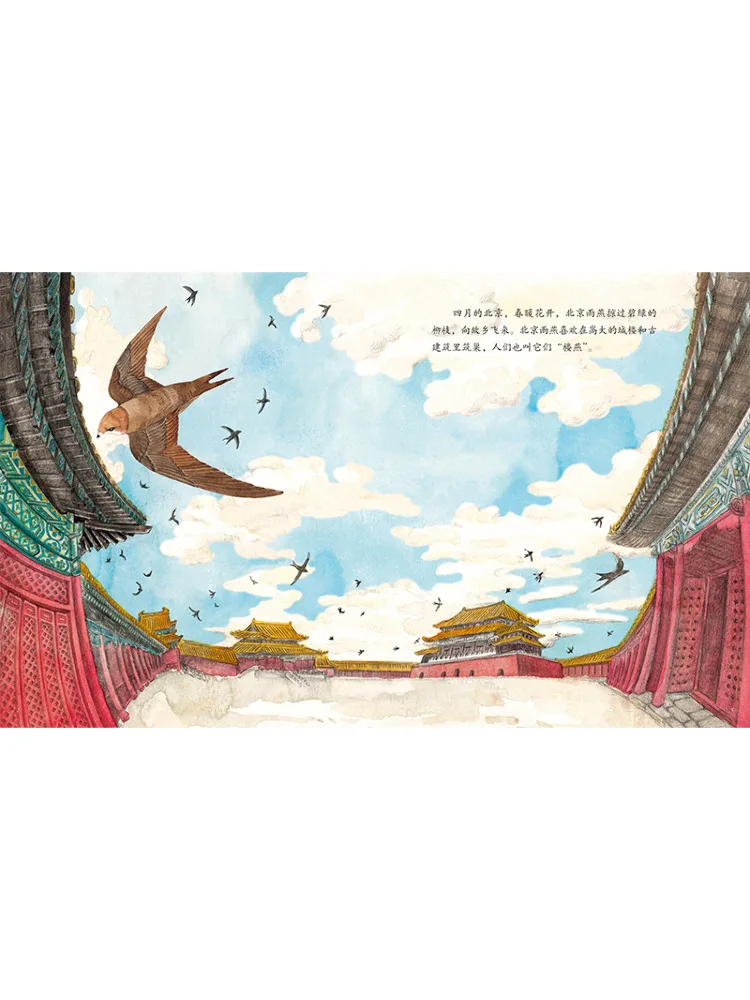 Libro-Winshare La nuova casa di Pechino Swift