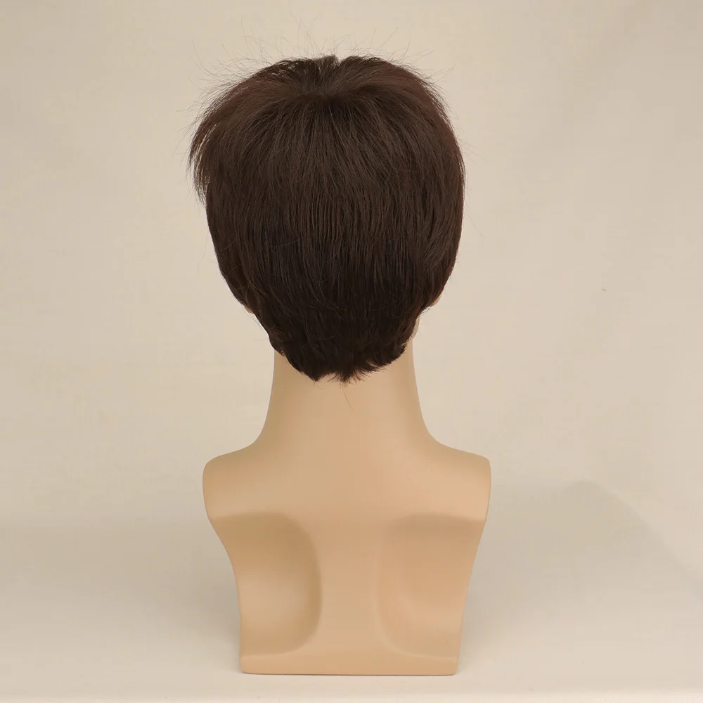 WHIMSICAL W Synthetic Hair Dark Brown Wig Male Hot Straight Men Hair Natural Mens Toupee Wig