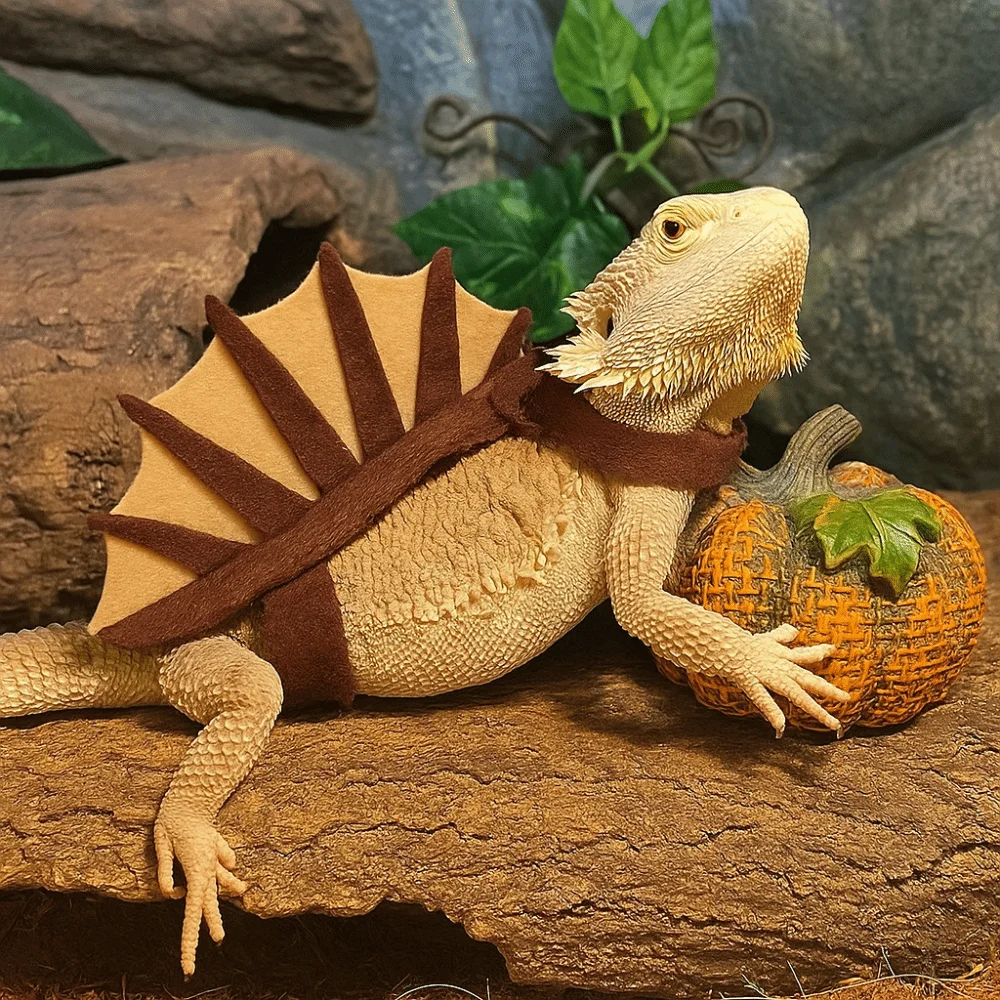 

Stegosaurus Lizard Costume Toy Thorn Dragon 3 Straps Dinosaur Shape Lizard Cloth Funny Adjustable Creative Reptile Apparel