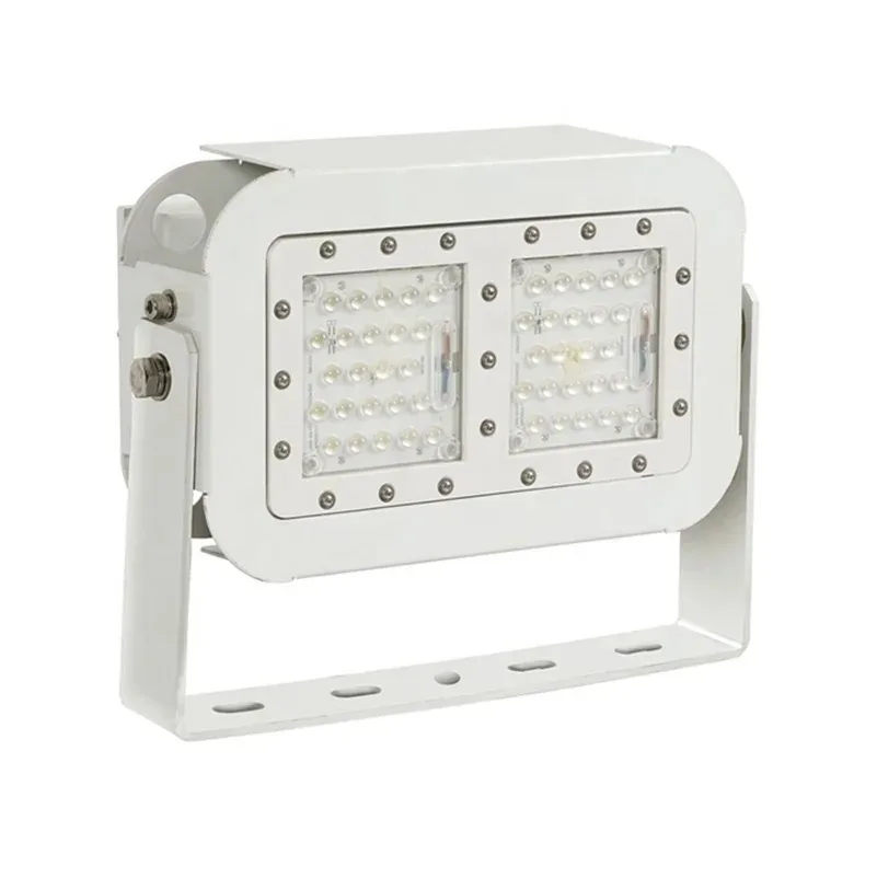 50W 100W LED Floodlight Stainless Steel IP66 IP67 for Outdoor Places Ships Docks Ports