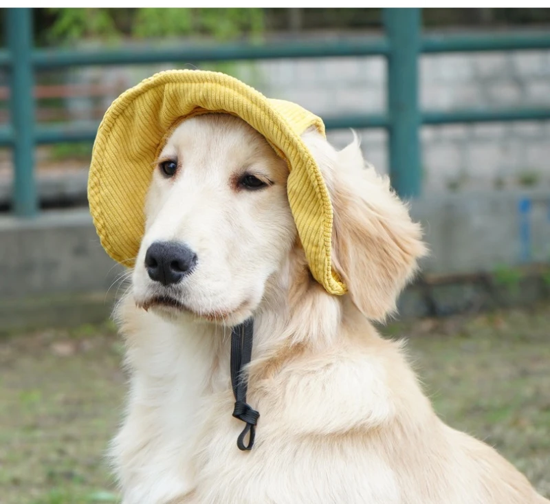 Para perro grande sombrero Border Collie samoyedo Husky Labrador Golden Retriever gorras para perros grandes sombrero para el sol productos para mascotas al aire libre