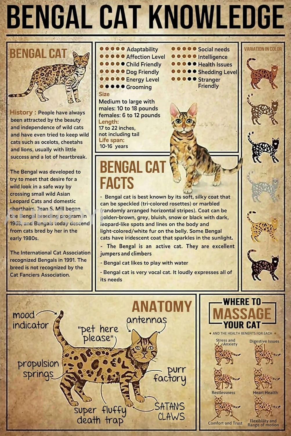 Panneau Métallique "Connaissance du Chat de Bengale" - Anatomie du Chat de Bengale - Affiche Amusante pour l'École, l'Éducation, le Bureau, le Salon, la Cuisine, la Salle de Bain - Panneau en Aluminium