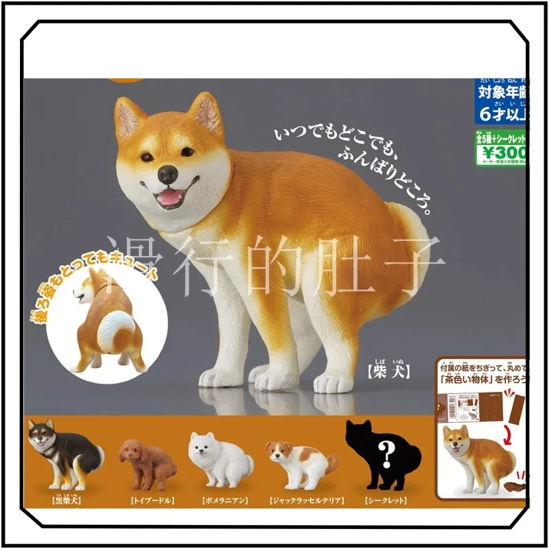 

Маленькая собачка на корточках, гашапон, померанский шпиц, Тедди, креативный изысканный орнамент, новые подарки, экшн-фигурка