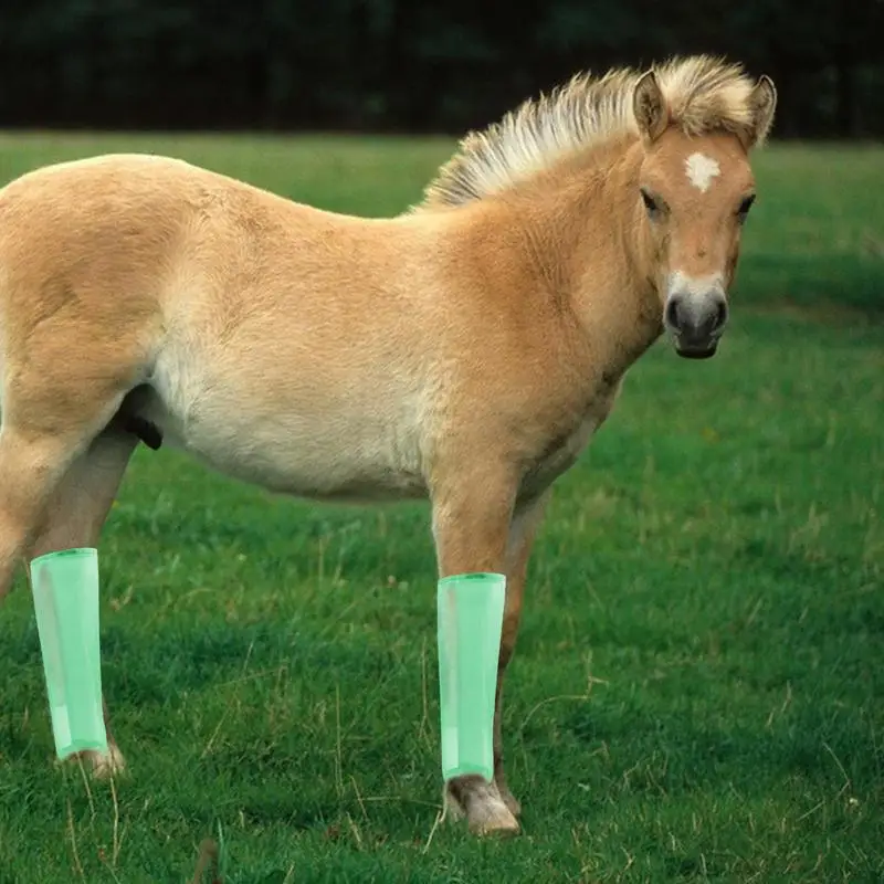 Juego de 4 botas de caballo reutilizables, mallas con mosca, asegura la comodidad y reduce el pitido