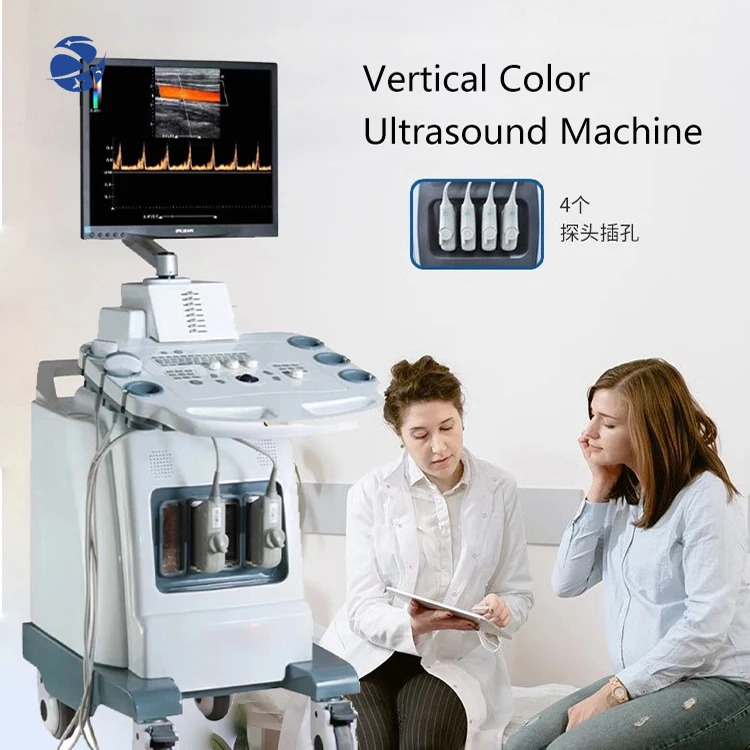 Digital Medical 4D Echo Ultrasound Color Doppler Machine USG Scanner Ultrasonic Diagnostic Transducer System