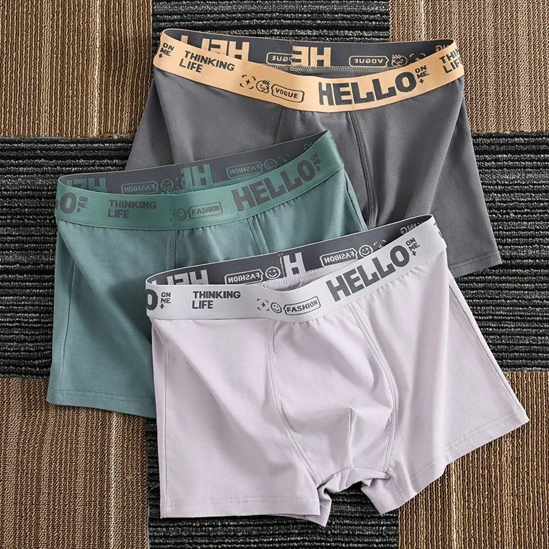 6Pcs Mens Underwear Male Boxers Sexy Underpants Comfortable Breathable Fashion Boys Panties Underwear Boxershorts Men