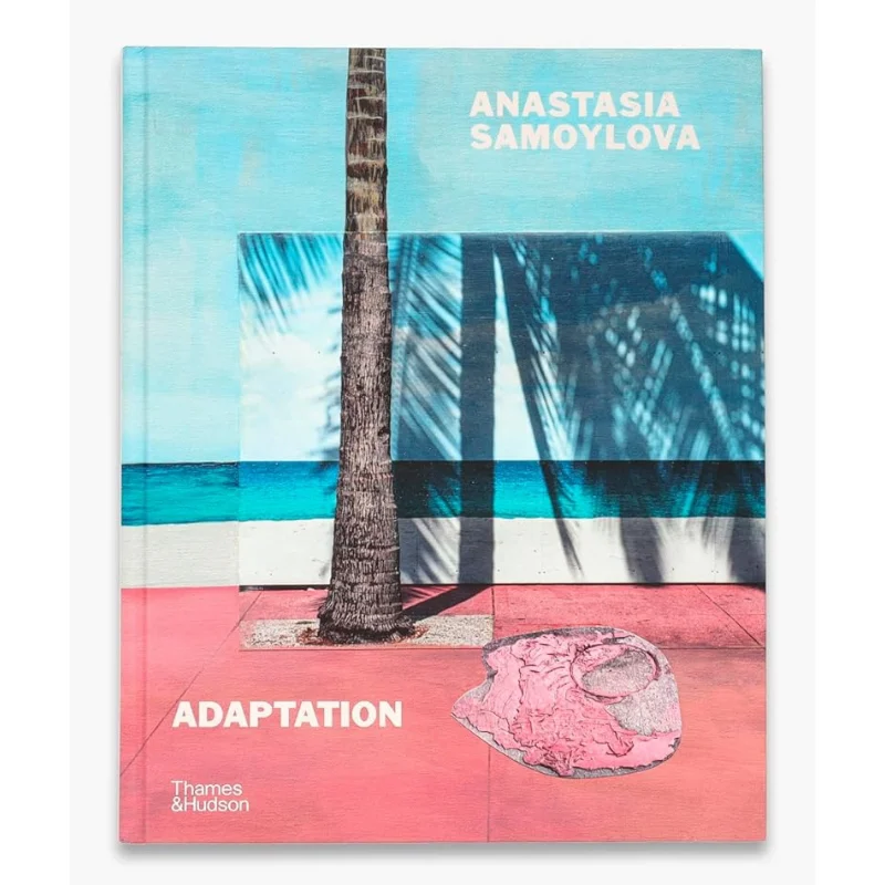 

Анастасия Саморилловая Адаптация Анастасия Самориллова Дэвид Кэмпини Миа Финнеман Люси Санте Тои и Хадсон ООО 9780500027189 Книга