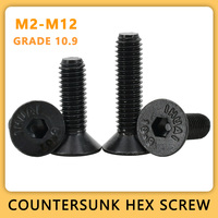 M2 M2.5 M3 M4 M5 M6 M8 M10 M12 Hex Screw Black Grade 10.9 Carbon Steel Countersunk Machine Screws Allen Bolts Metric Threaded