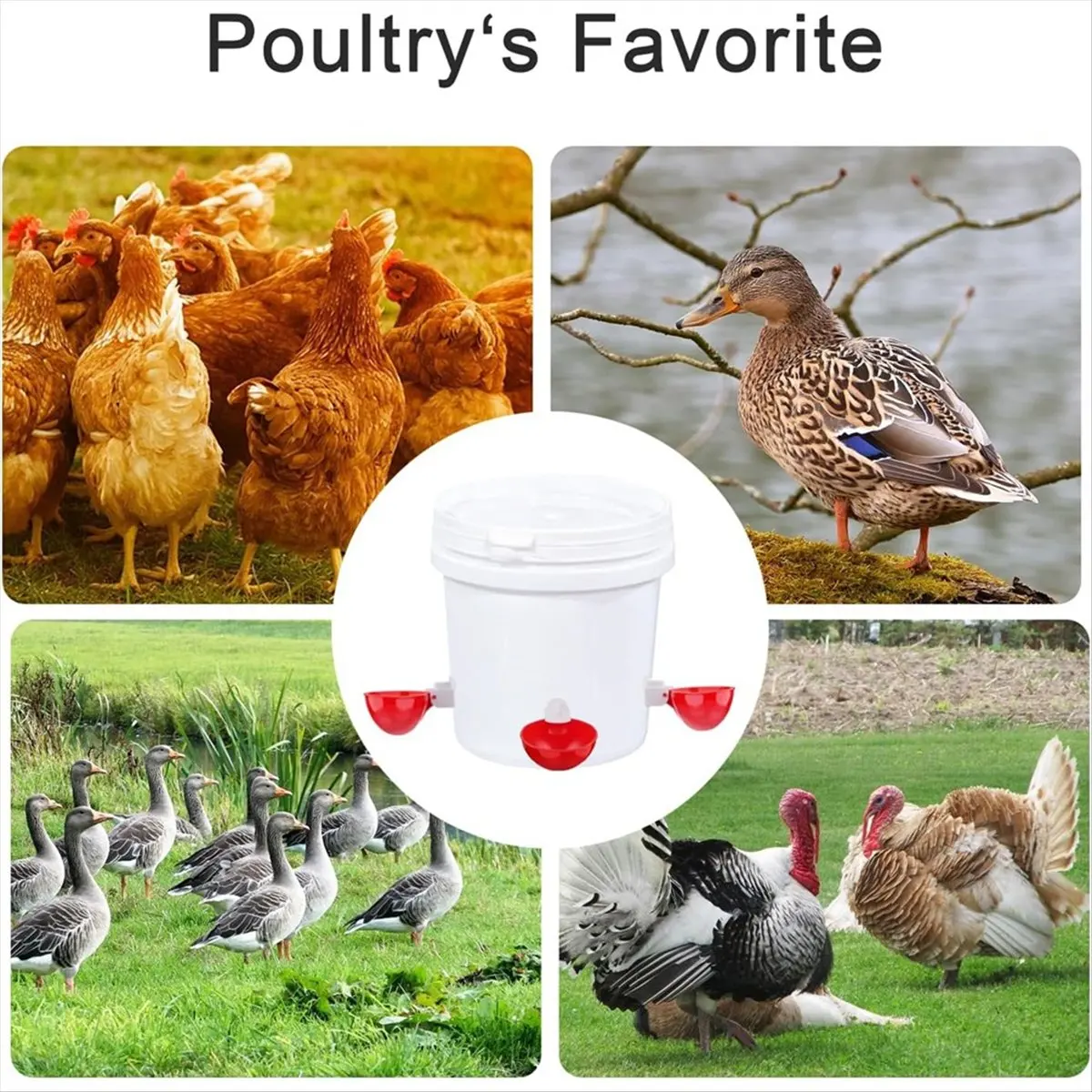 Automatic Chicken Waterer Cups, 10 Pcs Large Chicken Watering Cups, Tee Fittings Poultry Feeder Cups for Chicken, Goose