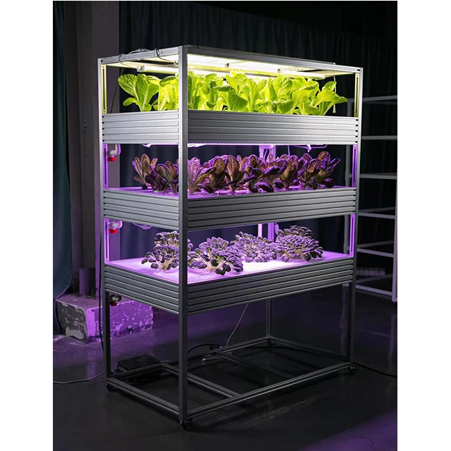 

Wholesale Cheap Best Aluminium Frame Indoor Vertical Hydroponic Growing System Garden