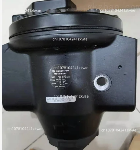 Pressure Regulator R18-C00-RNXG G2 R18C00RNXG Filter Valve