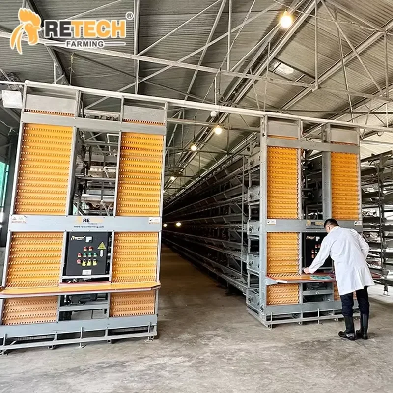 Hot Dip Galvanized Automatic Chicken Farming Equipment H-Type 3/4 Tiers Laying Hens Poultry Chicken Cage for Sale