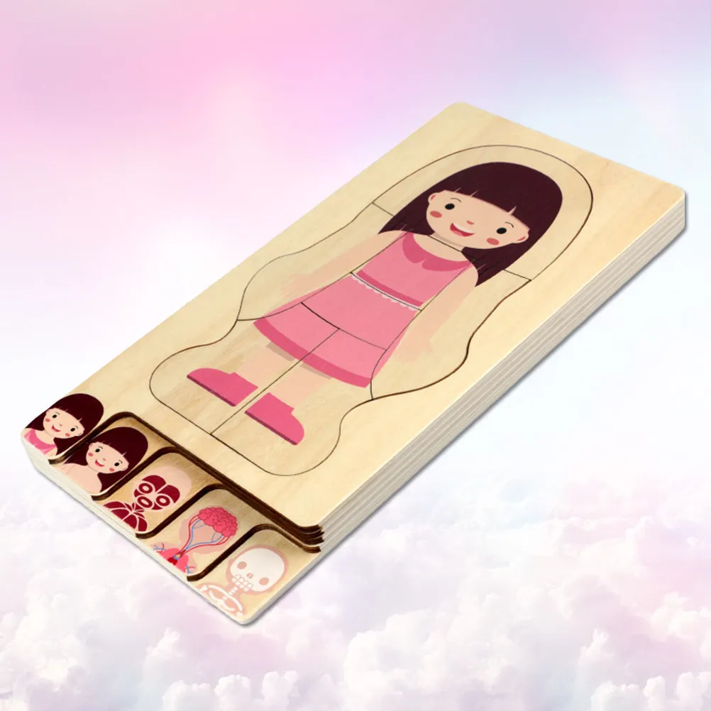 1pcs-body-constitution-puzzle-wooden-multilayer-educational-game-for-kids-girls-color-recognition-cognitive-development-hand-eye