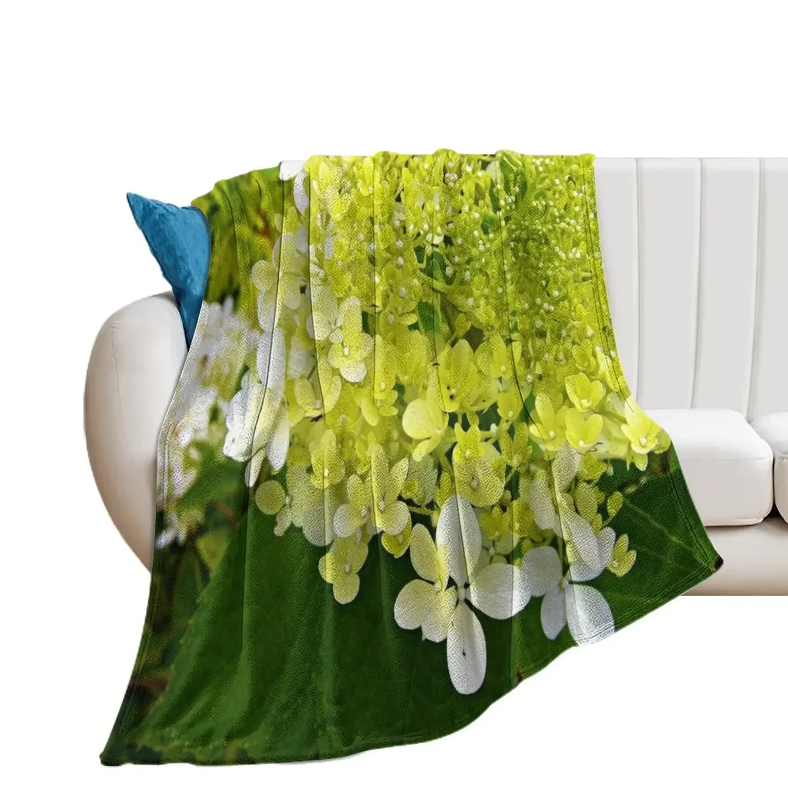 Elegant Chartreuse Green Limelight Hydrangea Macro Throw Blanket anime Flannel funny gift Blankets