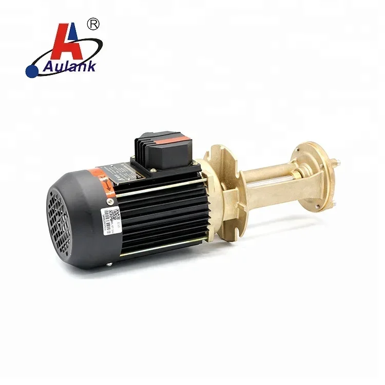 0.5kw  Vertical Coolant Hot Water Pump