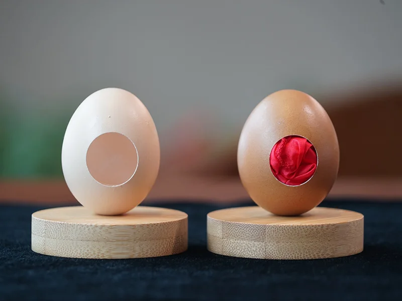 Real Egg (White/Brown) Magic Tricks Scarves To Egg Magia Accessories Stage Street Illusion Mentalism Gimmick Props Fun Magica